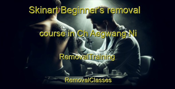 Skinart Beginner's removal course in Ch Aegwang Ni | RemovalTraining | RemovalClasses | SkinartTraining-Korea