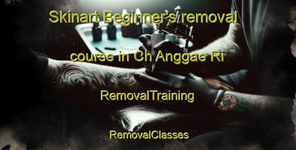 Skinart Beginner's removal course in Ch Anggae Ri | RemovalTraining | RemovalClasses | SkinartTraining-Korea