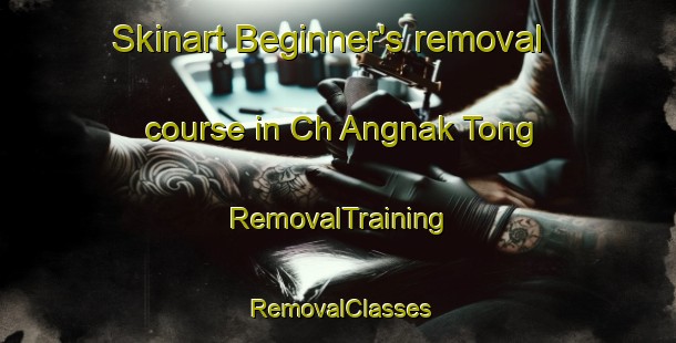 Skinart Beginner's removal course in Ch Angnak Tong | RemovalTraining | RemovalClasses | SkinartTraining-Korea