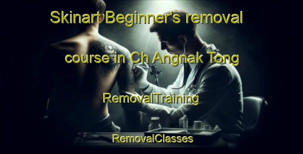 Skinart Beginner's removal course in Ch Angnak Tong | RemovalTraining | RemovalClasses | SkinartTraining-Korea