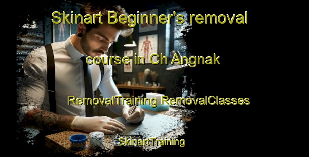 Skinart Beginner's removal course in Ch Angnak | #RemovalTraining #RemovalClasses #SkinartTraining-Korea