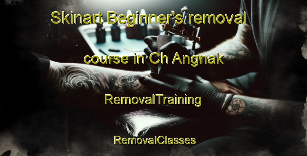 Skinart Beginner's removal course in Ch Angnak | RemovalTraining | RemovalClasses | SkinartTraining-Korea