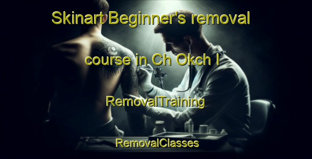 Skinart Beginner's removal course in Ch Okch I | RemovalTraining | RemovalClasses | SkinartTraining-Korea
