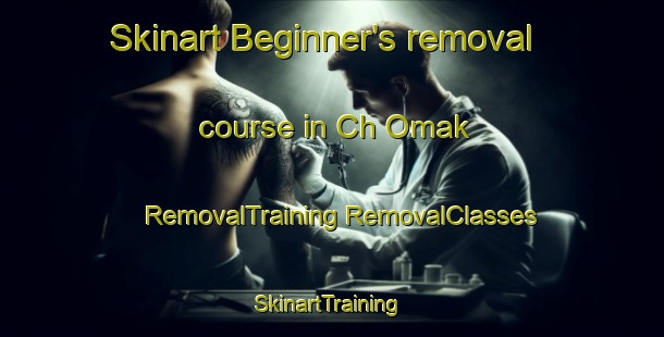 Skinart Beginner's removal course in Ch Omak | #RemovalTraining #RemovalClasses #SkinartTraining-Korea