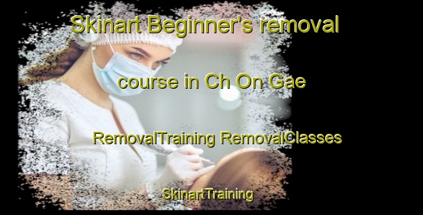 Skinart Beginner's removal course in Ch On Gae | #RemovalTraining #RemovalClasses #SkinartTraining-Korea