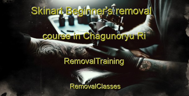 Skinart Beginner's removal course in Chagunoryu Ri | RemovalTraining | RemovalClasses | SkinartTraining-Korea
