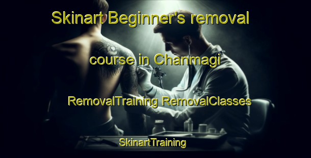 Skinart Beginner's removal course in Chanmagi | #RemovalTraining #RemovalClasses #SkinartTraining-Korea