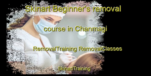 Skinart Beginner's removal course in Chanmagi | #RemovalTraining #RemovalClasses #SkinartTraining-Korea