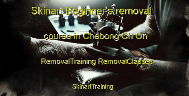 Skinart Beginner's removal course in Chebong Ch On | #RemovalTraining #RemovalClasses #SkinartTraining-Korea