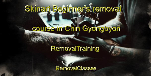 Skinart Beginner's removal course in Chin Gyongbyon | RemovalTraining | RemovalClasses | SkinartTraining-Korea