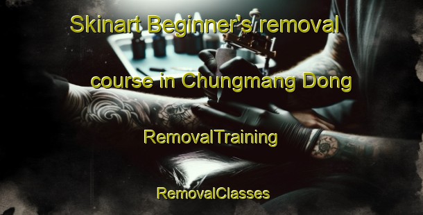 Skinart Beginner's removal course in Chungmang Dong | RemovalTraining | RemovalClasses | SkinartTraining-Korea