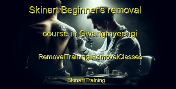 Skinart Beginner's removal course in Gwangmyeongi | #RemovalTraining #RemovalClasses #SkinartTraining-Korea