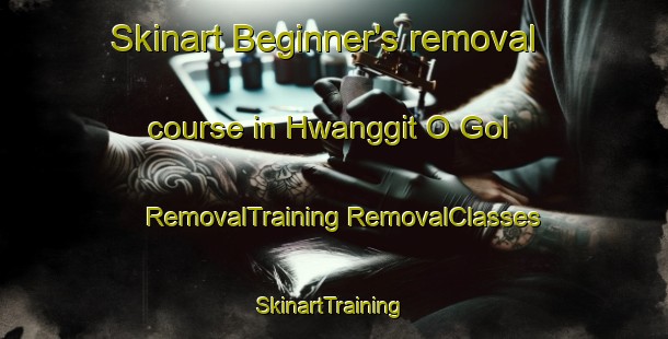 Skinart Beginner's removal course in Hwanggit O Gol | #RemovalTraining #RemovalClasses #SkinartTraining-Korea