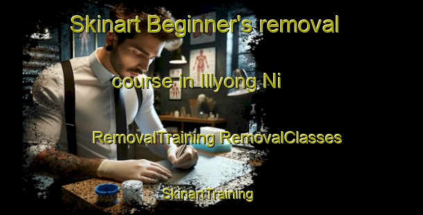 Skinart Beginner's removal course in Illyong Ni | #RemovalTraining #RemovalClasses #SkinartTraining-Korea