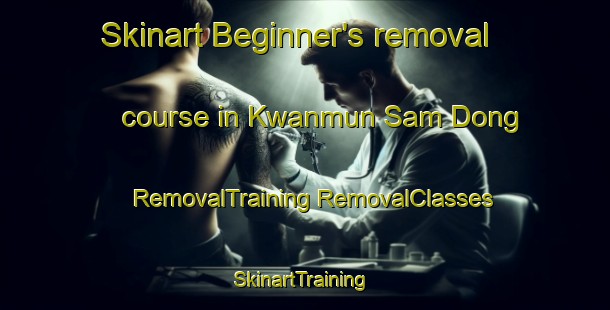 Skinart Beginner's removal course in Kwanmun Sam Dong | #RemovalTraining #RemovalClasses #SkinartTraining-Korea