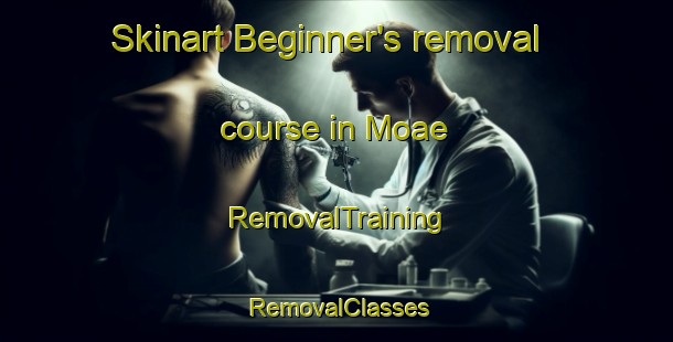 Skinart Beginner's removal course in Moae | RemovalTraining | RemovalClasses | SkinartTraining-Korea