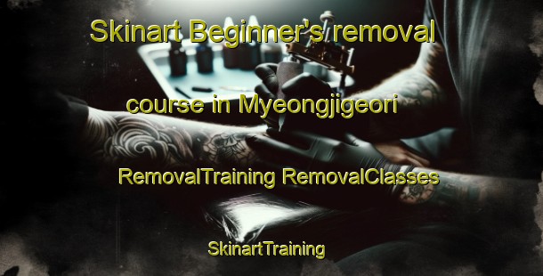 Skinart Beginner's removal course in Myeongjigeori | #RemovalTraining #RemovalClasses #SkinartTraining-Korea