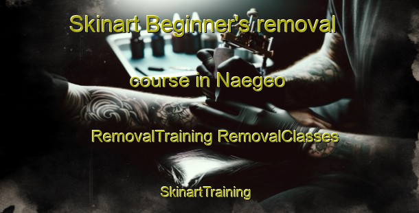 Skinart Beginner's removal course in Naegeo | #RemovalTraining #RemovalClasses #SkinartTraining-Korea