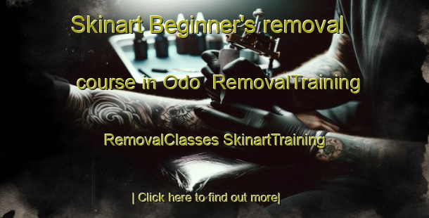 Skinart Beginner's removal course in Odo | #RemovalTraining #RemovalClasses #SkinartTraining-Korea