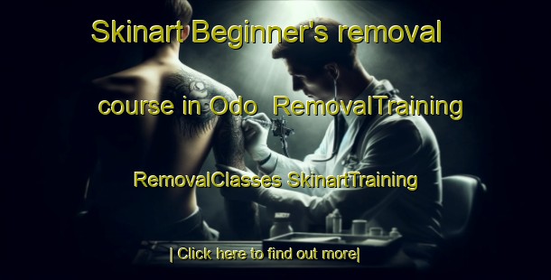 Skinart Beginner's removal course in Odo | #RemovalTraining #RemovalClasses #SkinartTraining-Korea