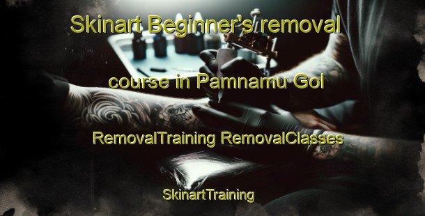 Skinart Beginner's removal course in Pamnamu Gol | #RemovalTraining #RemovalClasses #SkinartTraining-Korea