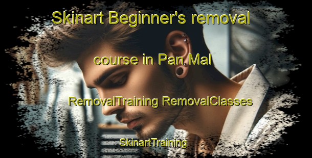 Skinart Beginner's removal course in Pan Mal | #RemovalTraining #RemovalClasses #SkinartTraining-Korea