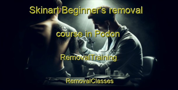 Skinart Beginner's removal course in Podon | RemovalTraining | RemovalClasses | SkinartTraining-Korea