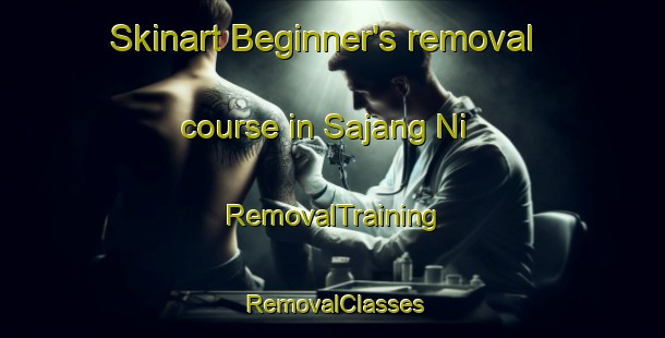 Skinart Beginner's removal course in Sajang Ni | RemovalTraining | RemovalClasses | SkinartTraining-Korea