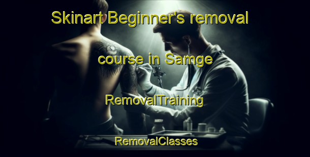 Skinart Beginner's removal course in Samge | RemovalTraining | RemovalClasses | SkinartTraining-Korea