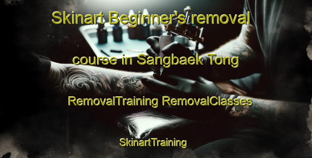 Skinart Beginner's removal course in Sangbaek Tong | #RemovalTraining #RemovalClasses #SkinartTraining-Korea