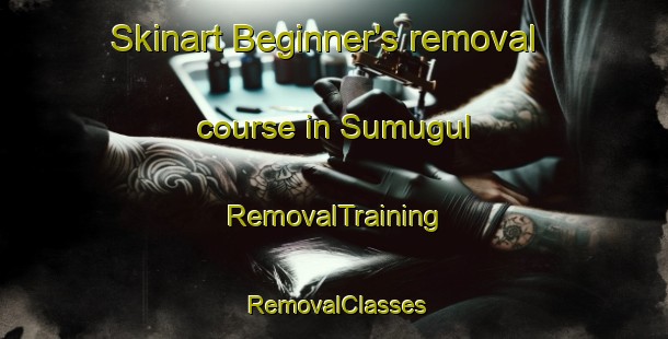 Skinart Beginner's removal course in Sumugul | RemovalTraining | RemovalClasses | SkinartTraining-Korea