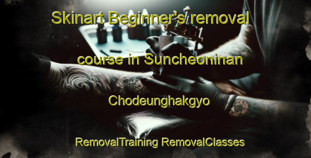 Skinart Beginner's removal course in Suncheoninan Chodeunghakgyo | #RemovalTraining #RemovalClasses #SkinartTraining-Korea