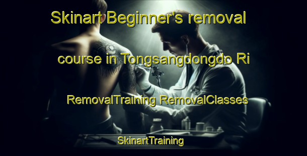 Skinart Beginner's removal course in Tongsangdongdo Ri | #RemovalTraining #RemovalClasses #SkinartTraining-Korea