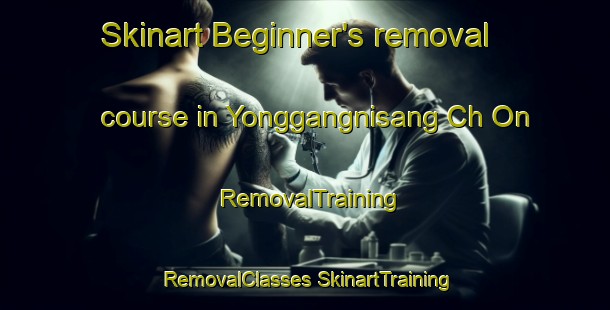 Skinart Beginner's removal course in Yonggangnisang Ch On | #RemovalTraining #RemovalClasses #SkinartTraining-Korea