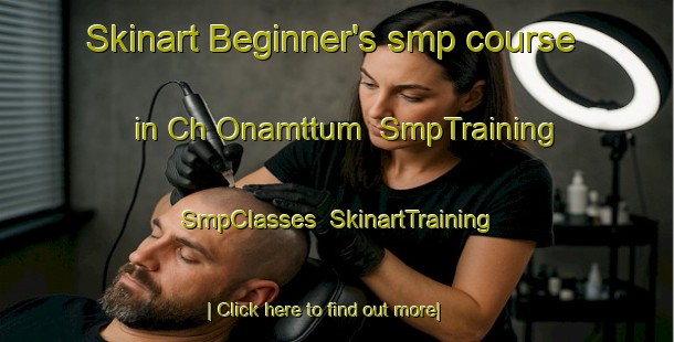Skinart Beginner's smp course in Ch Onamttum | SmpTraining | SmpClasses | SkinartTraining-Korea