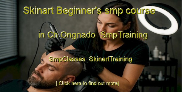 Skinart Beginner's smp course in Ch Ongnado | SmpTraining | SmpClasses | SkinartTraining-Korea