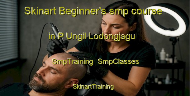 Skinart Beginner's smp course in P Ungil Lodongjagu | SmpTraining | SmpClasses | SkinartTraining-Korea