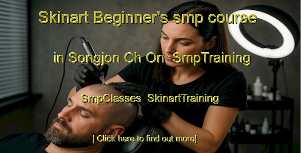 Skinart Beginner's smp course in Songjon Ch On | SmpTraining | SmpClasses | SkinartTraining-Korea