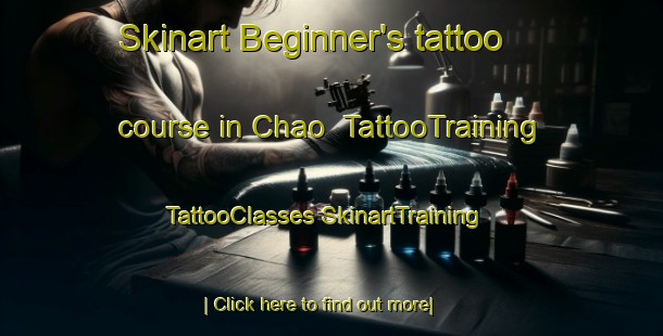 Skinart Beginner's tattoo course in Chao | #TattooTraining #TattooClasses #SkinartTraining-Korea