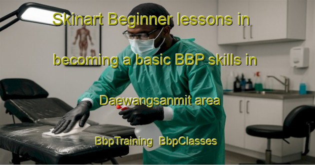 Skinart Beginner lessons in becoming a basic BBP skills in Daewangsanmit area | BbpTraining | BbpClasses | SkinartTraining-Korea