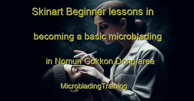 Skinart Beginner lessons in becoming a basic microblading in Nomun Gokkon Dong area | MicrobladingTraining | MicrobladingClasses | SkinartTraining-Korea