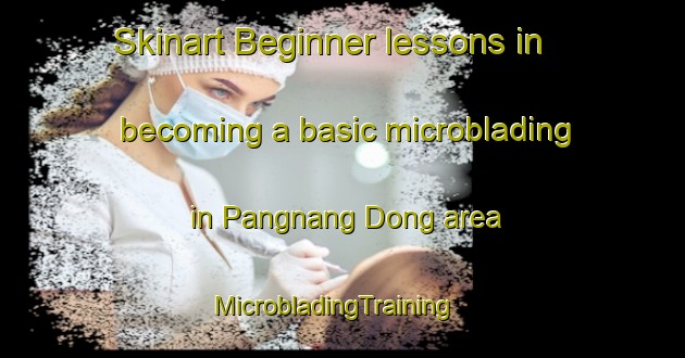 Skinart Beginner lessons in becoming a basic microblading in Pangnang Dong area | MicrobladingTraining | MicrobladingClasses | SkinartTraining-Korea