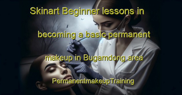 Skinart Beginner lessons in becoming a basic permanent makeup in Bugamdong area | PermanentmakeupTraining | PermanentmakeupClasses | SkinartTraining-Korea