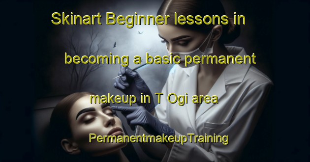 Skinart Beginner lessons in becoming a basic permanent makeup in T Ogi area | PermanentmakeupTraining | PermanentmakeupClasses | SkinartTraining-Korea