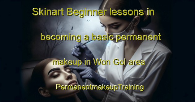 Skinart Beginner lessons in becoming a basic permanent makeup in Won Gol area | PermanentmakeupTraining | PermanentmakeupClasses | SkinartTraining-Korea