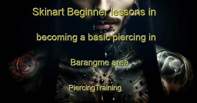 Skinart Beginner lessons in becoming a basic piercing in Barangme area | PiercingTraining | PiercingClasses | SkinartTraining-Korea