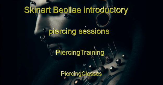 Skinart Beollae introductory piercing sessions | #PiercingTraining #PiercingClasses #SkinartTraining-Korea