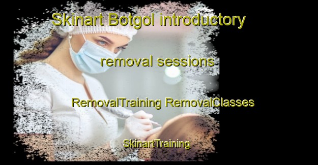 Skinart Botgol introductory removal sessions | #RemovalTraining #RemovalClasses #SkinartTraining-Korea