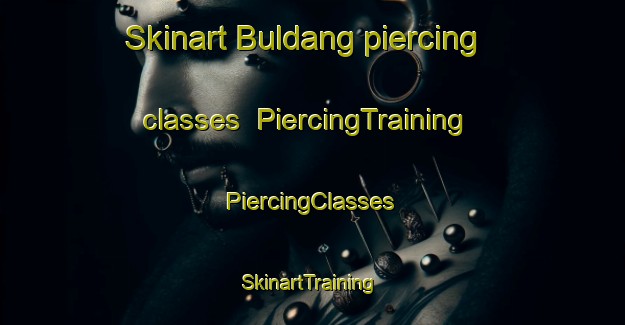 Skinart Buldang piercing classes | #PiercingTraining #PiercingClasses #SkinartTraining-Korea