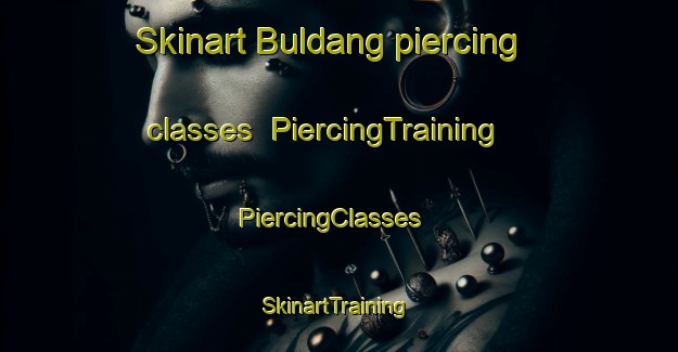Skinart Buldang piercing classes | PiercingTraining | PiercingClasses | SkinartTraining-Korea